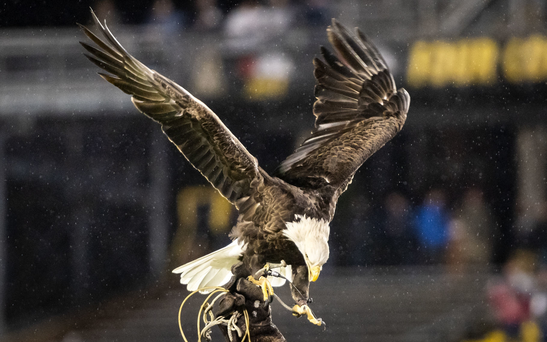 AppStateFB